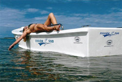 Fission 500