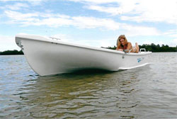 Fission 500