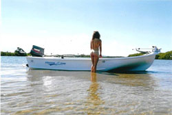 Fission 500